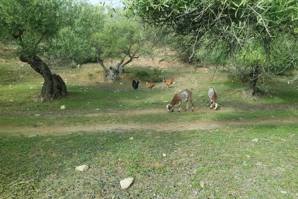 House With 3 Bedrooms in Hornachuelos, With Wonderful Mountain View, Shared Pool, Enclosed Garden