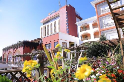 Pyramid Hotels & Resorts