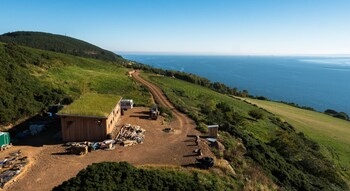 Willow Yurt - Campsite
