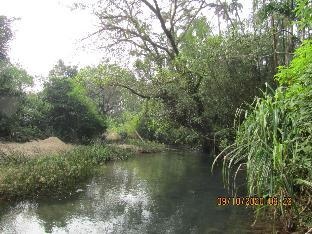 Mithila Nature Stay - Agumbe Homestay