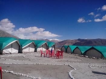 Holiday Pangong Camp