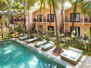 ALTR NATIV Morjim, Goa