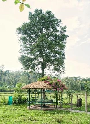 Vanatheeram Resorts Kattikulam Tholppety Wayanad