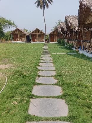 coconut tree guest house