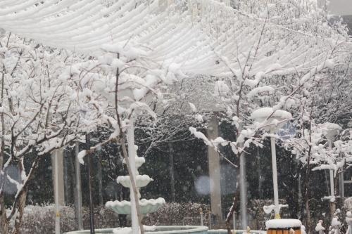 Kabul Star Hotel & Restaurant