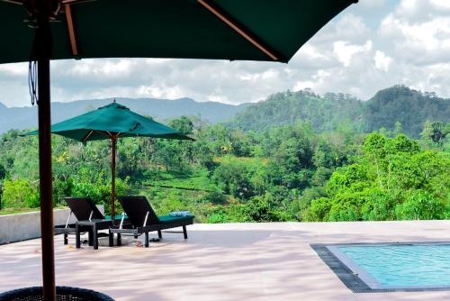 The Secret Garden at Mist of Sinharaja