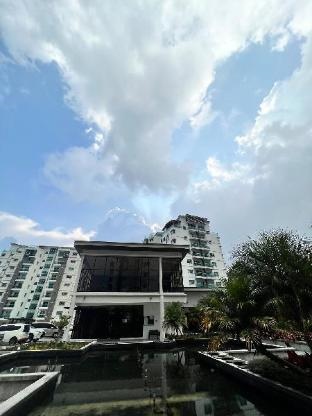 Lily King (modern and comfy)