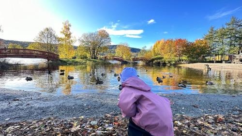 Modern Apartment in Drammen Nature & City