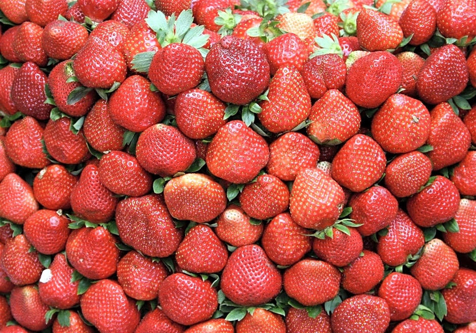 The Breys Courtyards Manor by Goshen