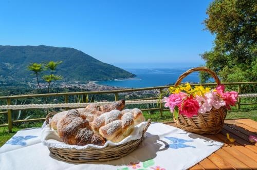 Drius edode - b&b affittacamere