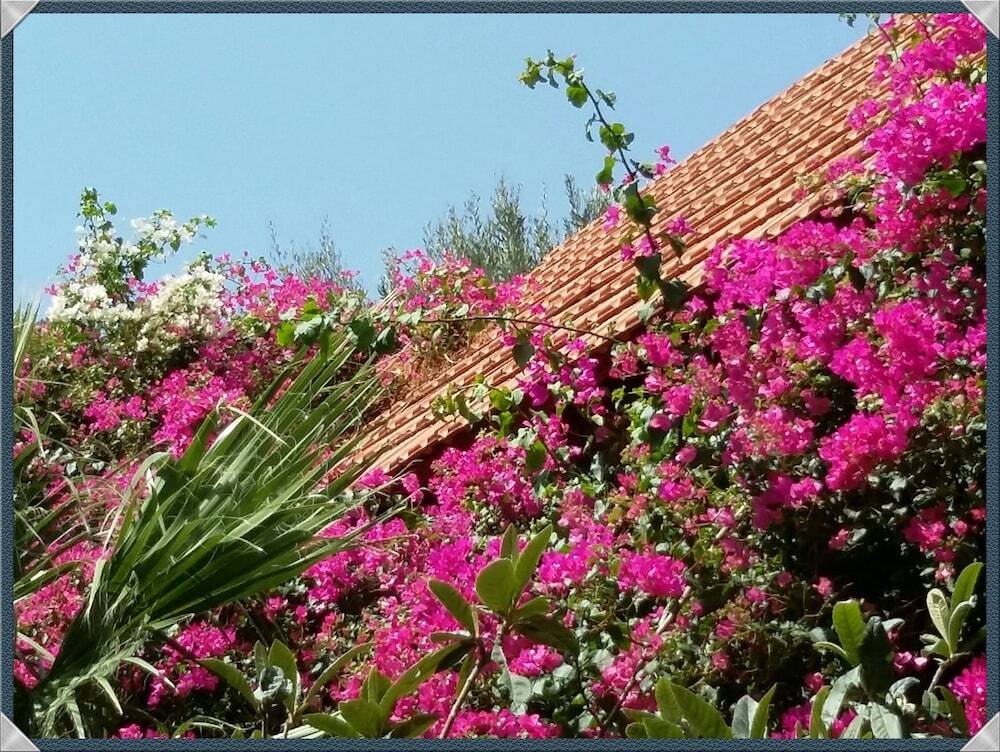 Exclusive Cottages In A Quiet Oliverove Near The Sea
