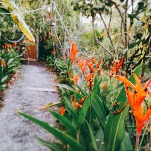 Nong Tr?i Th?nh Thoi