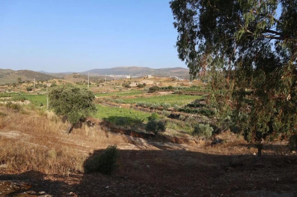 Quinta De Gandarem