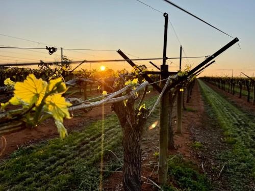 BIG4 Red Cliffs Holiday Park