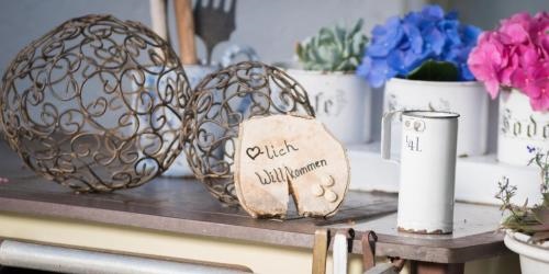 Pension Zum Ebenstein Am Donausteig