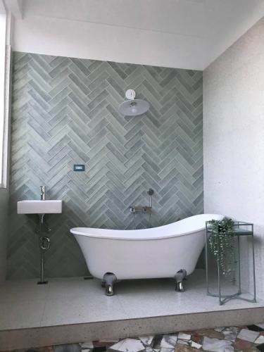 ???? Lilys - ????????