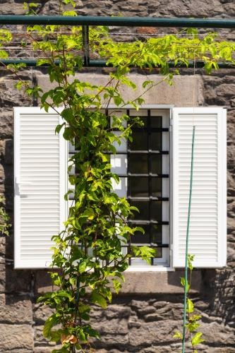 Casa Amarela Apartments by Casas Na Ilha