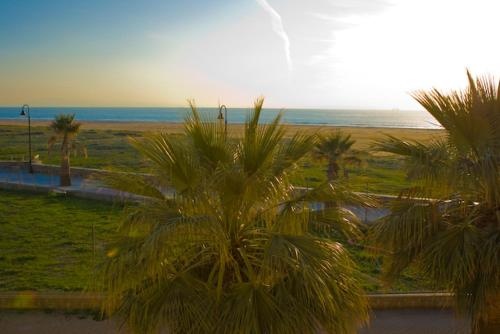 Apto en primera lA­nea de playa