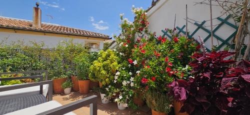 Apartamentos Los Descalzos Angel with Private Terrace Free Parking