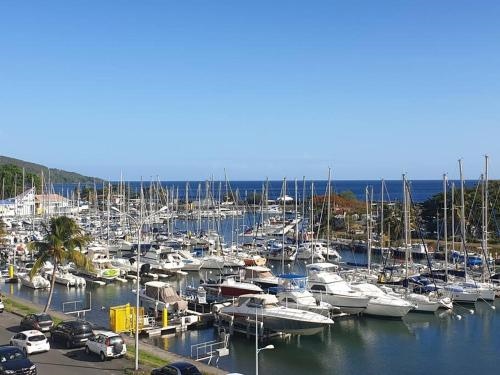 L'arbre Aux Papillons Marina de Rivieres Sens