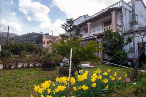 Georgias Loft Acharavi Corfu