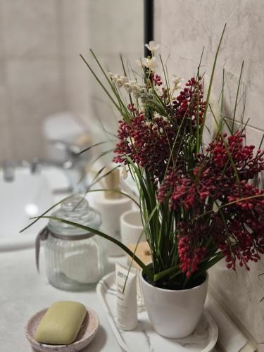 Central PA©cs Bea&Tom