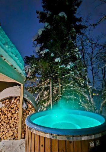 Cosy cabin in North Norway Nearby Senja.