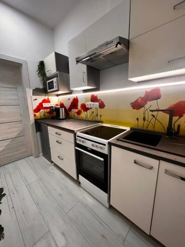 Apartmany v centre vlastna izba so spolo?nou kuchy?ou a kupe?nou moze by? zdie?ana 2 inymi izbami