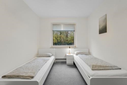 Apartment in Celle for Business Traveler