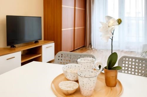 Apartament Z Garazem Blisko Lotniska