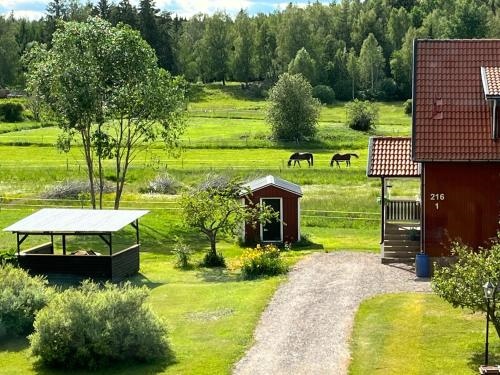 Fridfullt boende pa landet