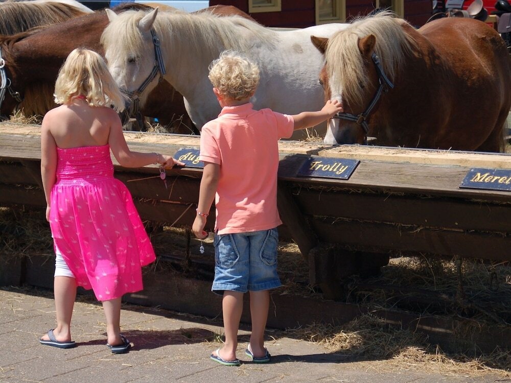 Restyled Country House With Dishwasher, On Texel Near The Sea