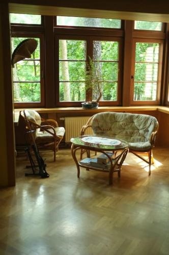 Lesny kasztel pod sosnami. Pokoj w koronach drzew.