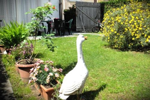 Appartamento con giardino a 5 minuti dal mare