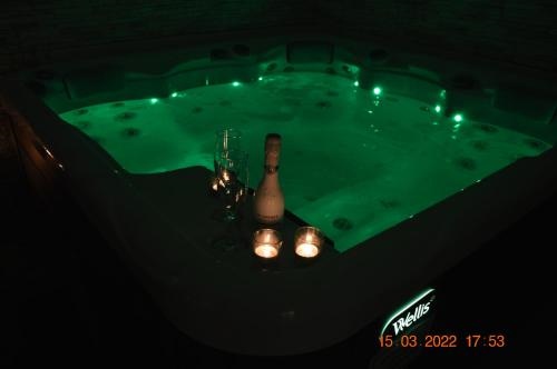 Apartma in wellness Mesecina