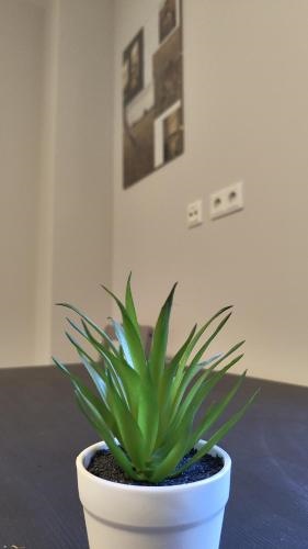 Apartment for 2 guests