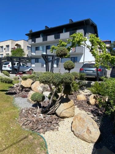 ????????? ???????????