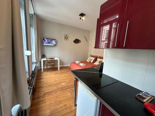 LeRelaisdOdile - Suite Studios Confort - Ideal PRO & Couple - LILLE VAUBAN