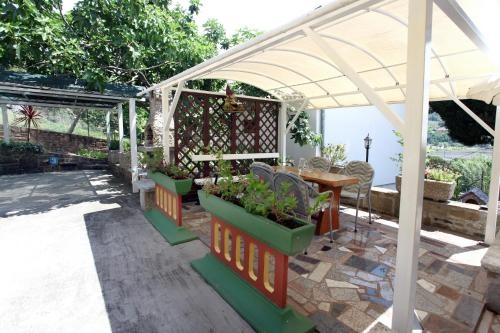 DINO Studio and Room Apartments