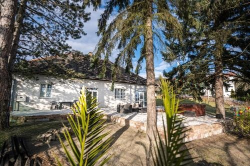 Ipoly Velo Vendeghaz