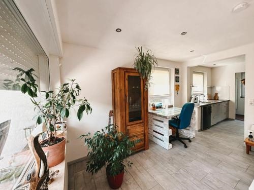 ?Gemutliche 1-Zimmerwohnung mit Terrasse?