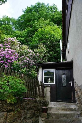 Ferienwohnung im grunen Elbtal