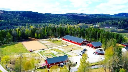 Come to stay at our beautiful Horse Farm!