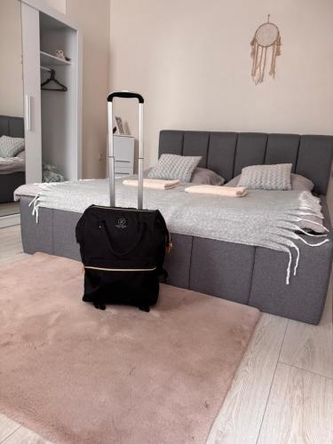 Apartman 6