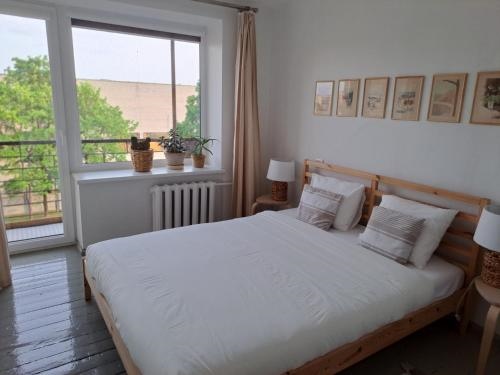 Butas Anyksciuose seimoms