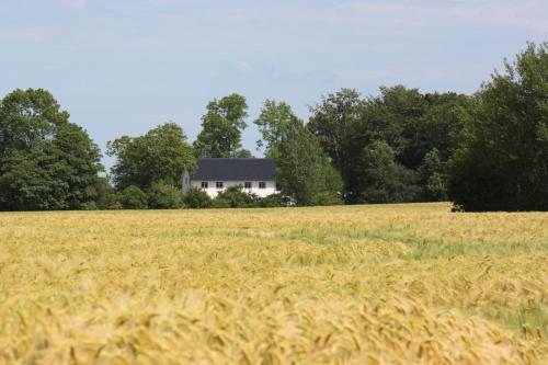 Ferienwohnung 'Nieby' - Refugium Pottloch Ostsee