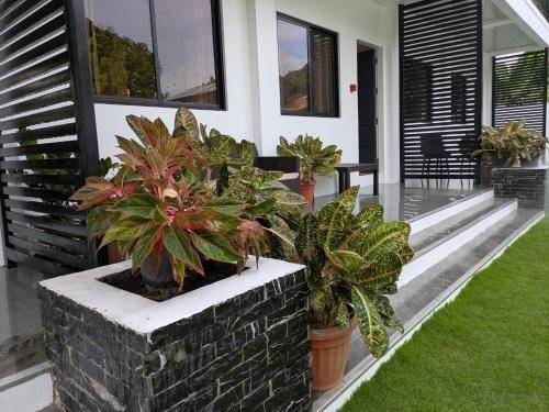 Nicholsons Apartments