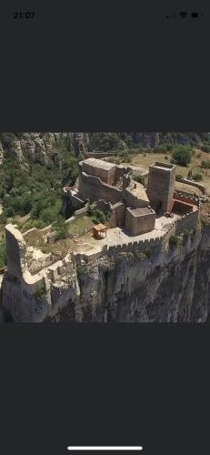 La cigale des cantarelles