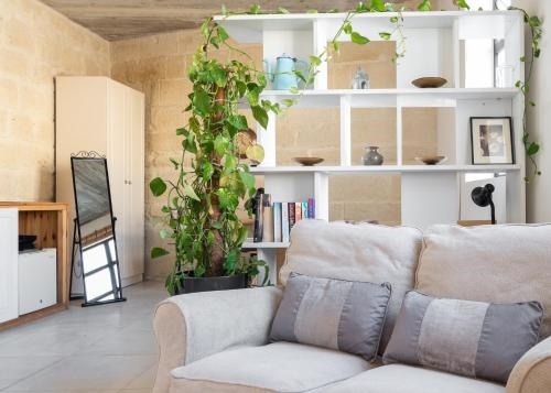 Roam Gozo Studio Hamrija Modern Cozy Tiny Home Set In Gozo's Oldest Village