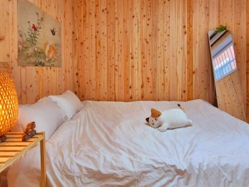 #???? #??? #Lucky Oasis #?????? #???? #??????? #???? #??????? #????